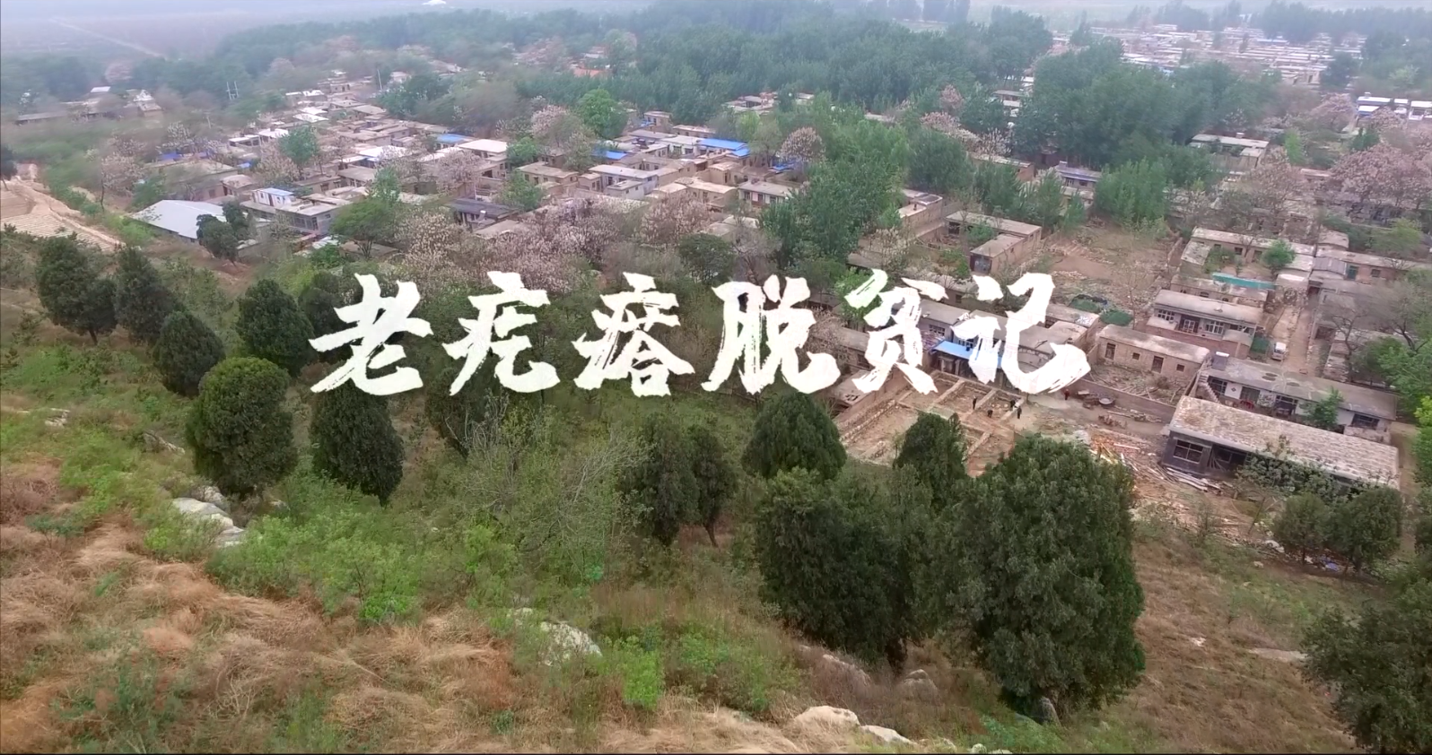 《老疙瘩脱贫记》丨首届中国长三角（大纵湖）微电影大赛获奖作品展播
