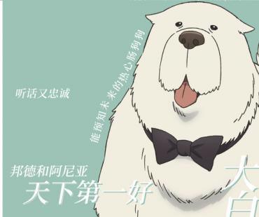 五一合家欢电影《间谍过家家 代号：白》 新奇角色设定火出圈