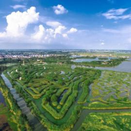 百度 人民资讯：探索生态文旅融合 “金茉莉”再次绽放盐城大纵湖