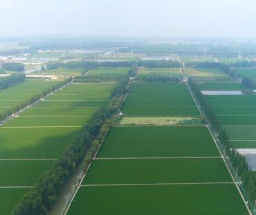 《最忆是泰州》第十九集：一把大锹改天地