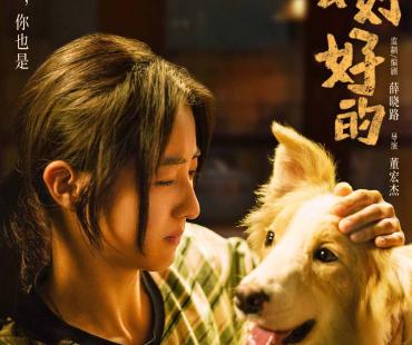 这个春天被一条小狗治愈，“明星+宠物”成宠物电影万能公式？