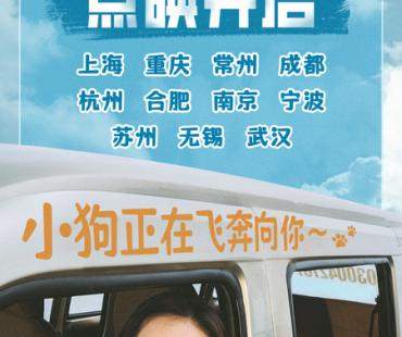 本周末点映！张子枫新片《我会好好的》小狗视角新预告抒发宠物无条件的爱