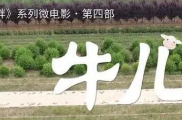 聚焦乡村振兴，泰安系列微电影《汶水河畔》推出第四部《牛儿》