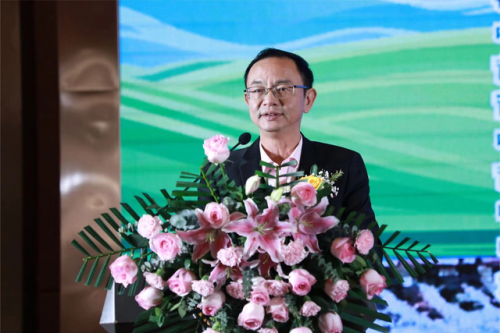 院线电影《叔父》在莆田启动,将在木兰溪取景