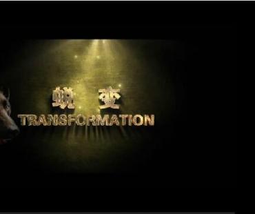 一部关于缉毒犬的微电影