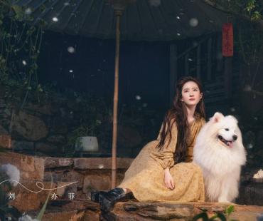 《去有风的地方》治愈开播 刘亦菲李现共踏暖心之旅