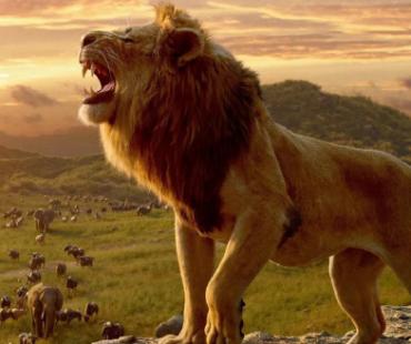 美人鱼惨败，它来救！《狮子王》将开发系列电影