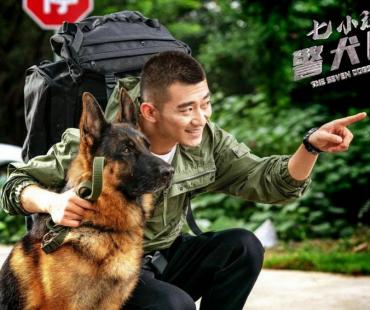 《七小汪警犬队》定档2月3日 真实故事改编致敬城市的忠诚卫士