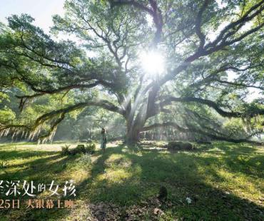 《沼泽深处的女孩》预售开启，提前观影沼泽女孩野性力量引共鸣