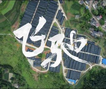 微电影《飞驰》 关于茅台与乡村振兴的平凡故事