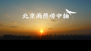 系列动画短视频《东方燕燕探中轴》上线