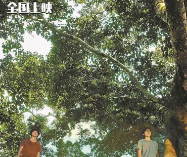 “时势造英雄”，香港电影抓住机遇再出发