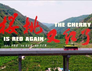 三门峡陕州区：《樱桃又红了》上映了