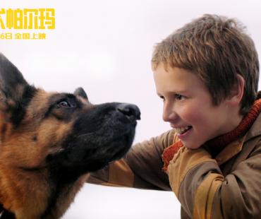《忠犬帕尔玛》发布终极预告826上映 总有生命为治愈你而来