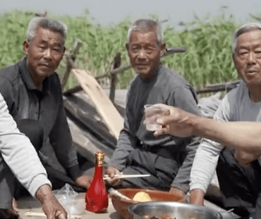 微电影｜跃然屏幕的烟火气！跟着“淀上小子”看芦苇荡里的美丽新农村