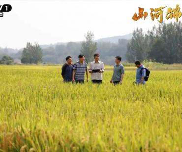 电视剧《山河锦绣》开播 致敬伟大脱贫攻坚