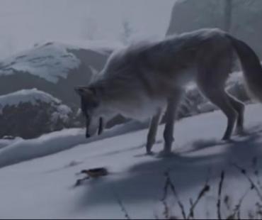 平遥国际电影展专家学者热议文学作品的影视迁徙