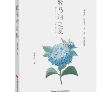 委婉优美直面人生痛感，专家研讨《牧马河之夏》