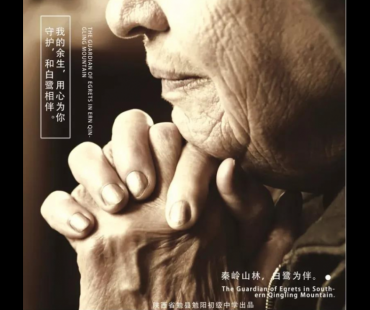 汉中这部微电影入围全国电影周